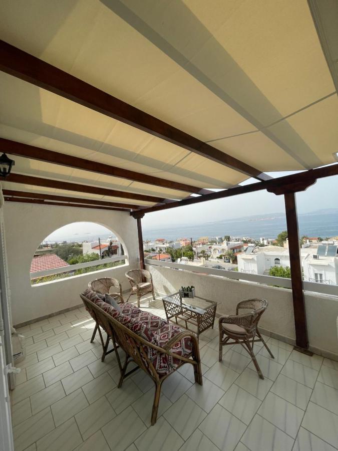 180° View To Sea Villa Vathi  Exterior photo